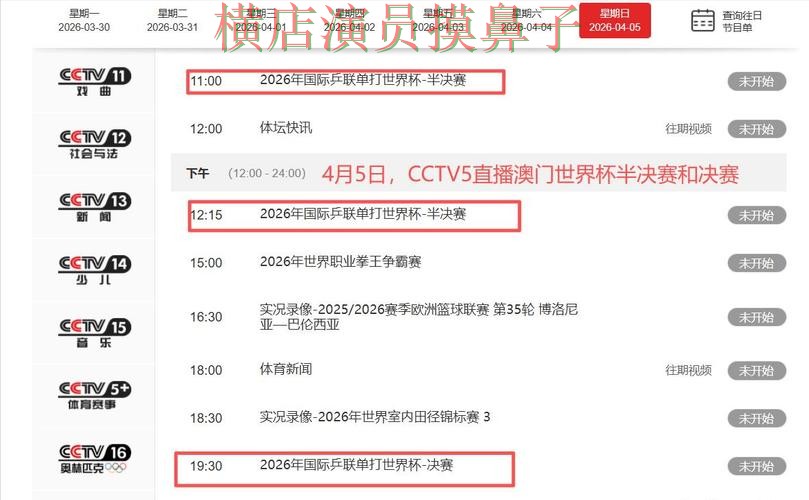 世界杯投注平台推荐深度评测合集：覆盖数据分析+直播与入口方式 - 世界杯直播